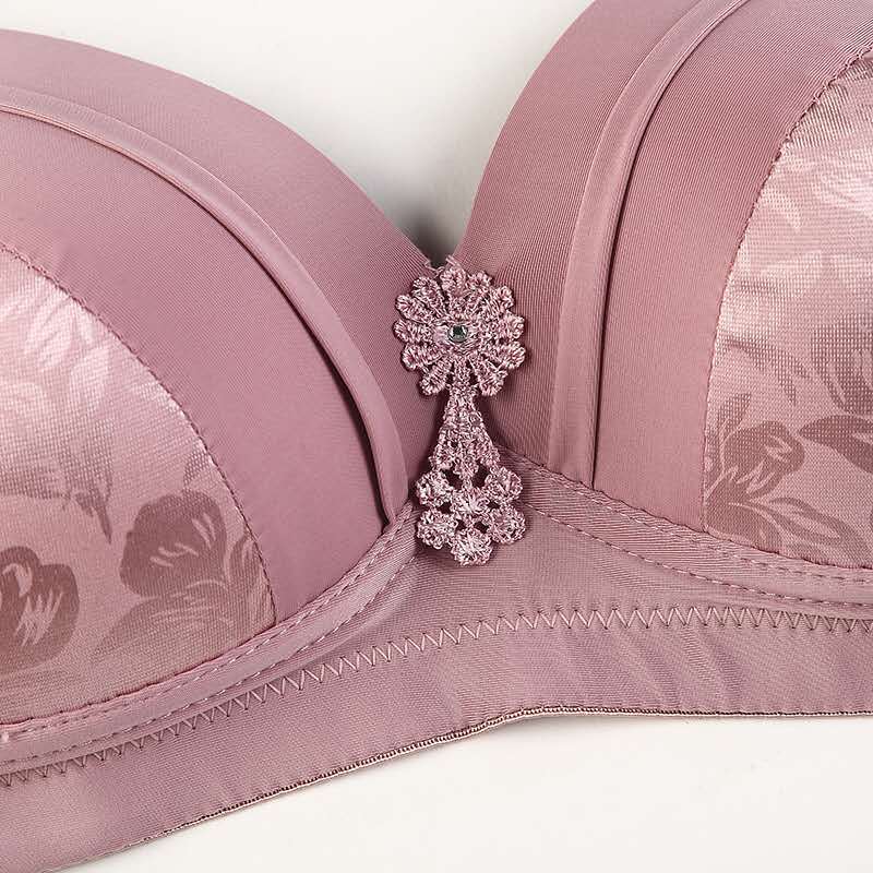 GraceLift Full Coverage Bra – Embroidered Elegance