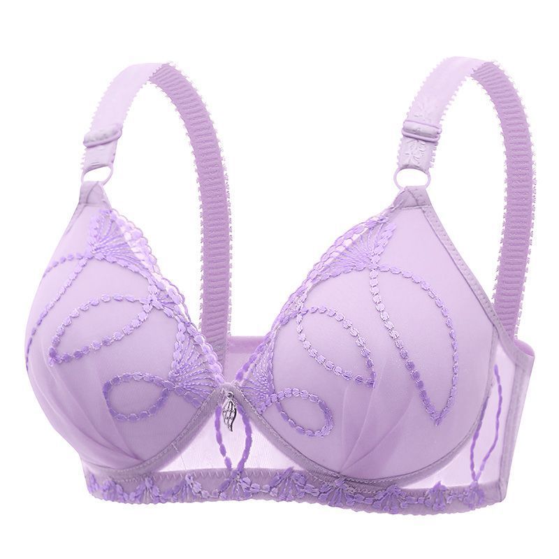 Radiant Embroidered Mesh Bra