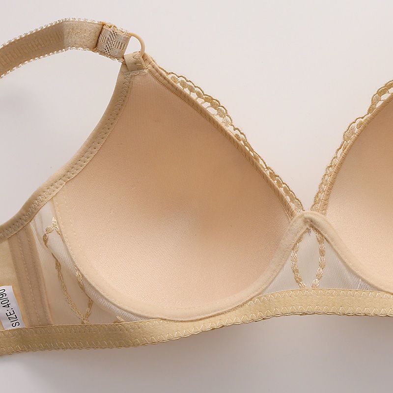 Radiant Embroidered Mesh Bra